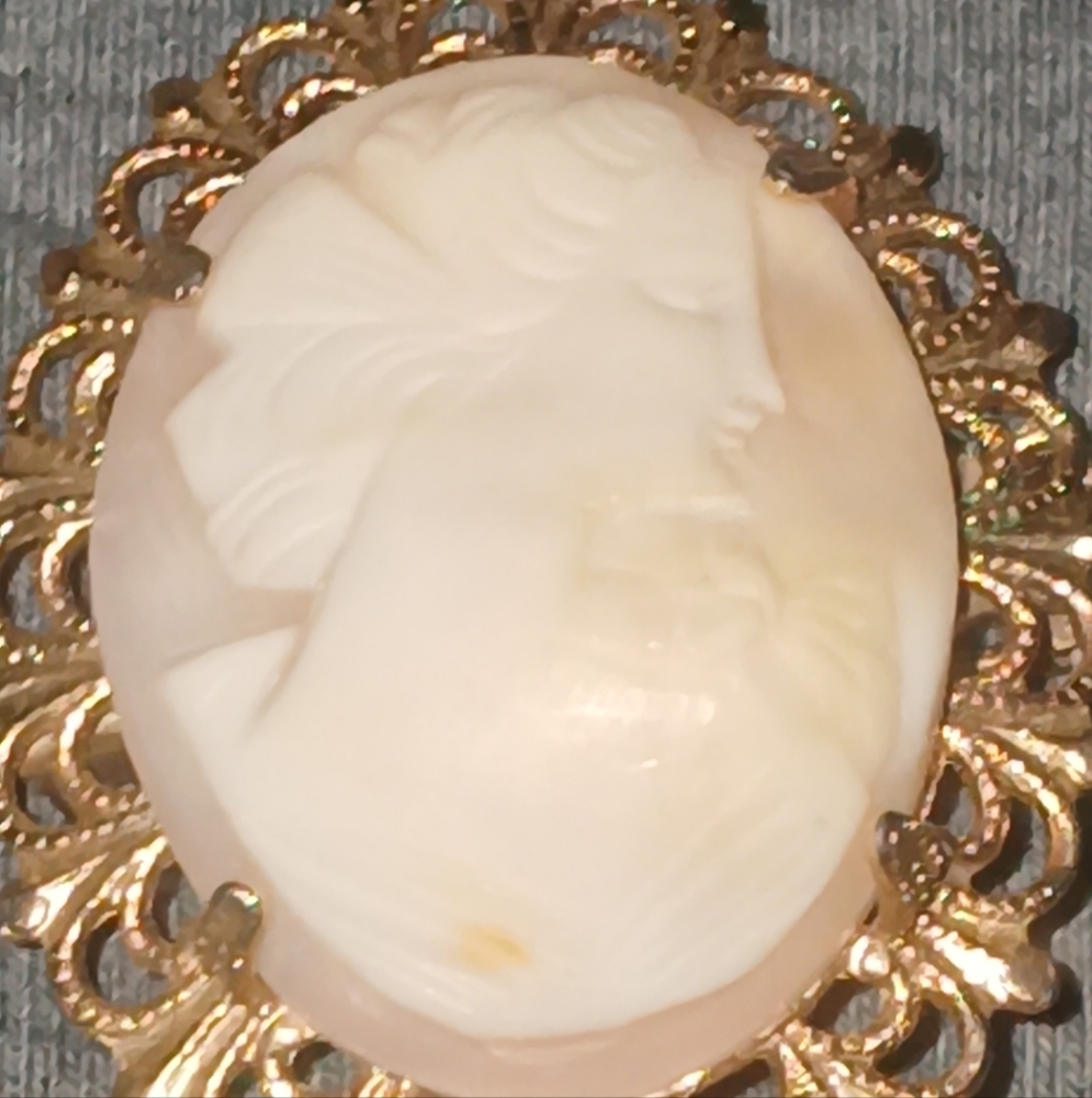 Vintage Elegant Gold and Cream Cameo Brooch